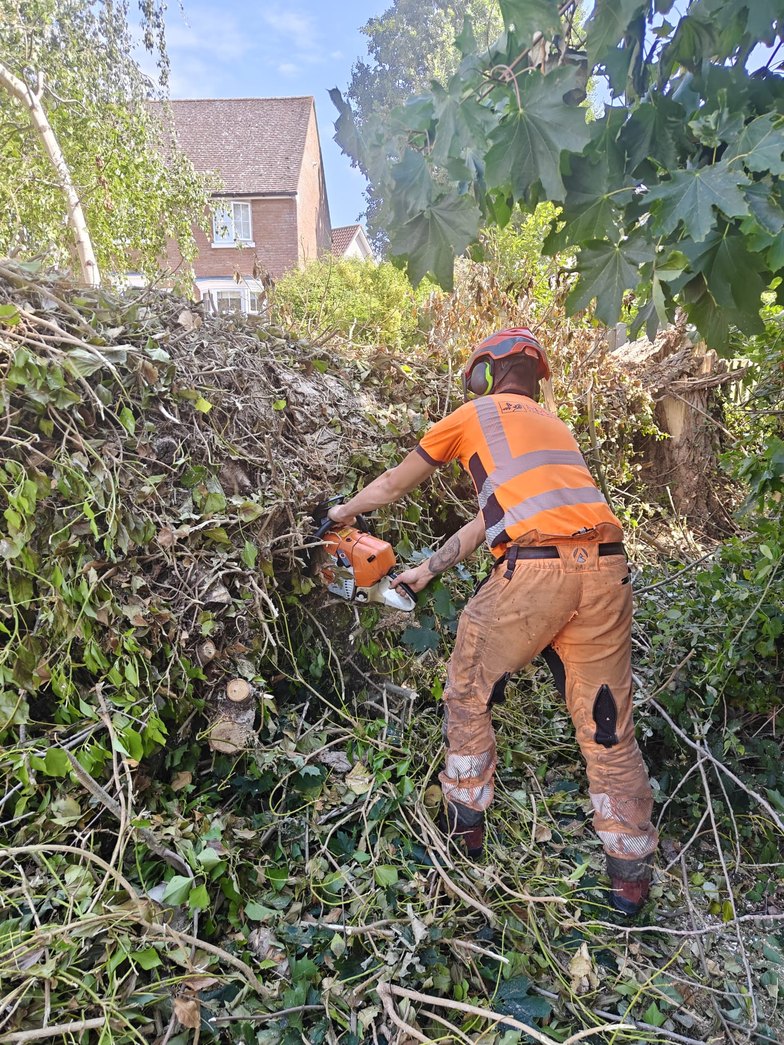 Emergency tree surgery following hazardous tree damage